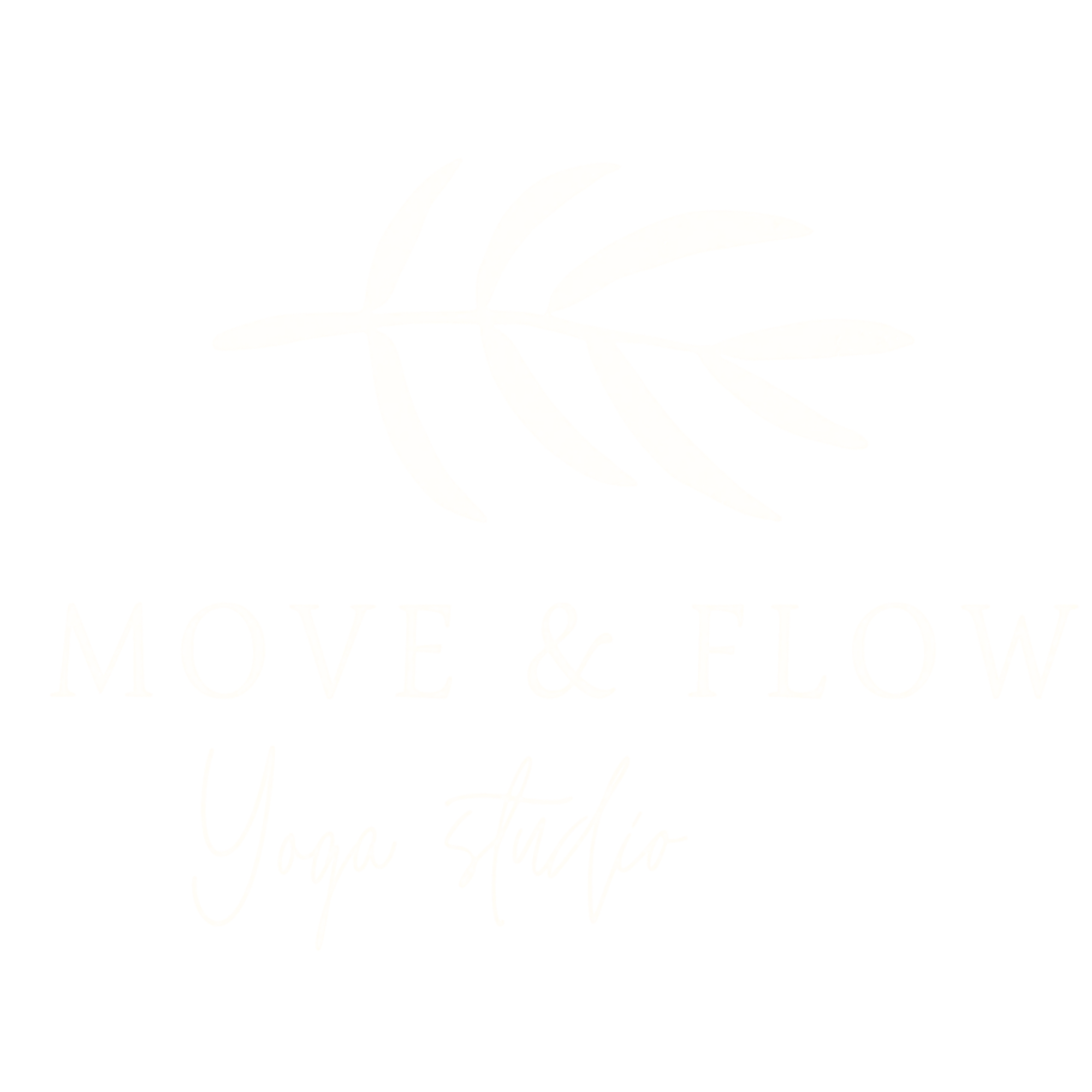 Move & Flow Studio